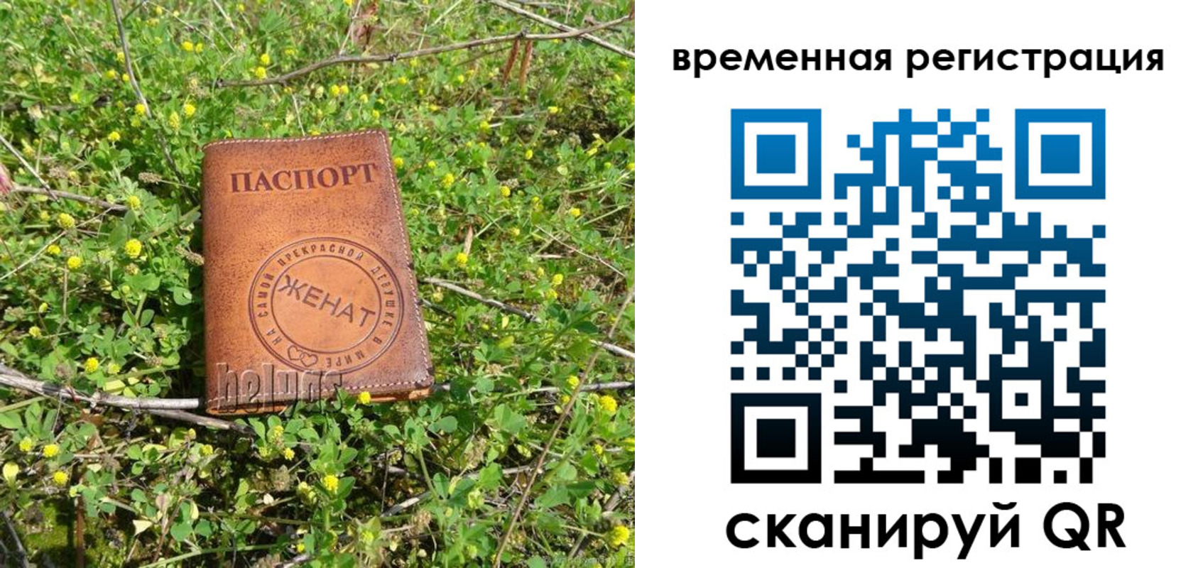 прописка регистрация в Ленинградской области
